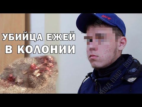 ������ ���� ������� �� �������� ����