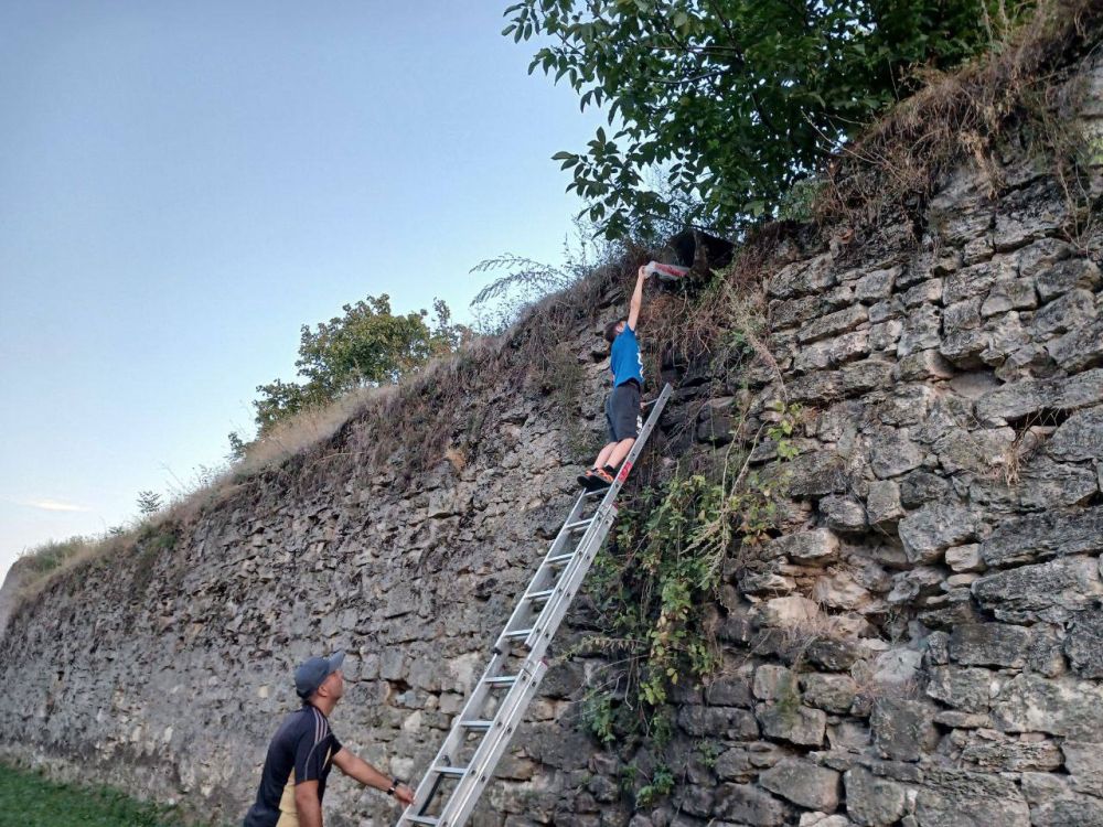 ����� "���� ����������" �� ���� ��������