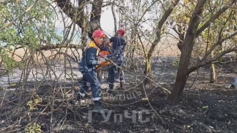 ����� � ������ �������� �������