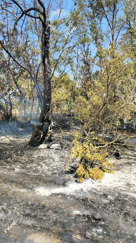 ����� �����, ����������� � ��� ����� � ������� �������� ���������� ������