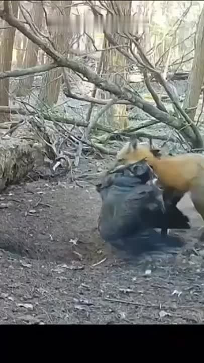 ������ ����������� �������, ��� ����-������ ��������� � ����� ���� ��������