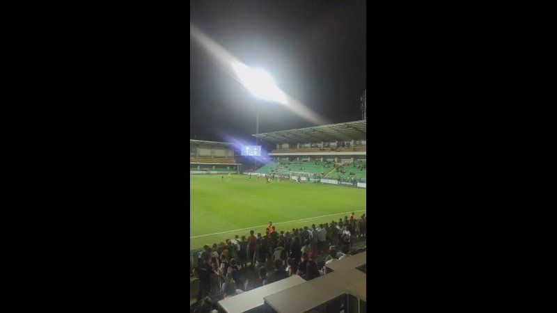 ��� � ���������. ������� ������� ����-�������� � �������� 2:1. ������ ����� � ����