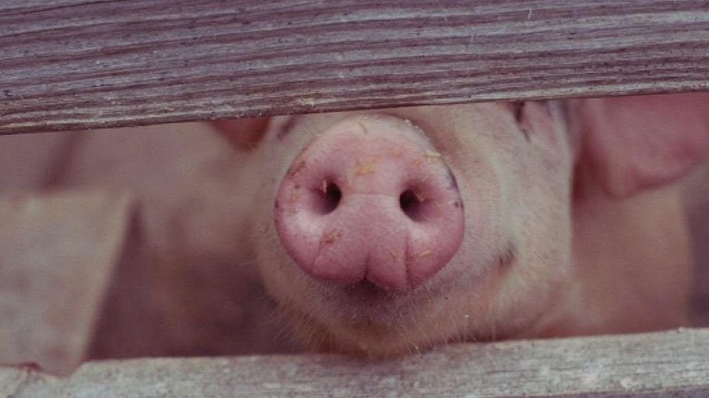 �� ������� ������ ��������� ���������� ������: ������ ��������� ��������� ���������� ����� - ������ � ���� ����������� �������