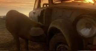 � ������� ������ ������ �� ������