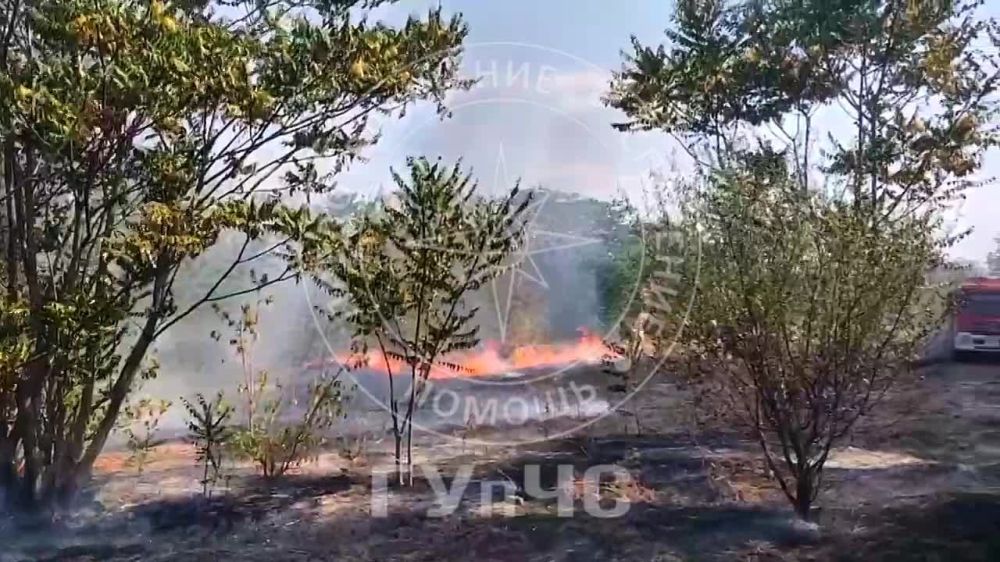 � �������. �����. ����� ����� ����� � ������ �� ������� �������