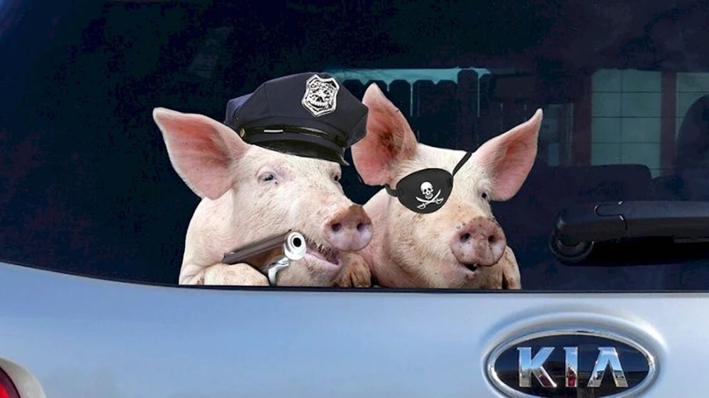 � ������� ������ ��������� ������ ������