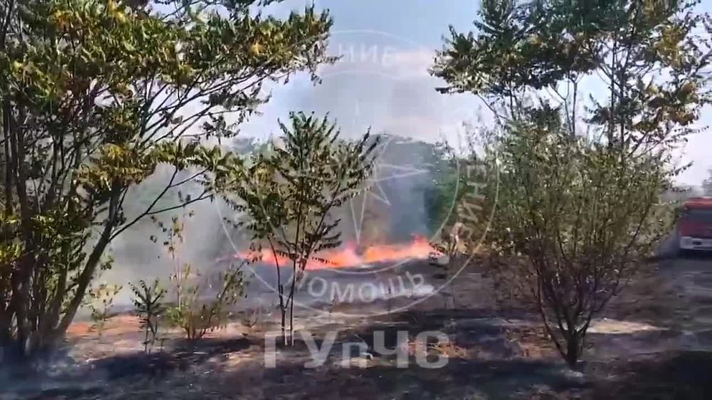 ����� � �������� �� �����!