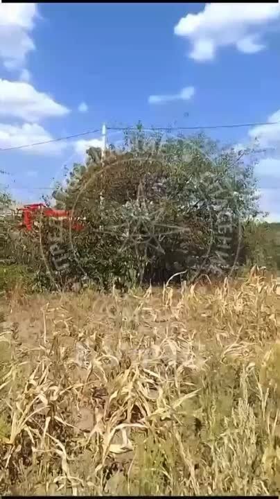 ����� � �����������. ����� � ����������� ������ ����� ��-�� ������������ ��������. ����� ������ ���������������� �� ����������� ������� �������� 1,5 �������