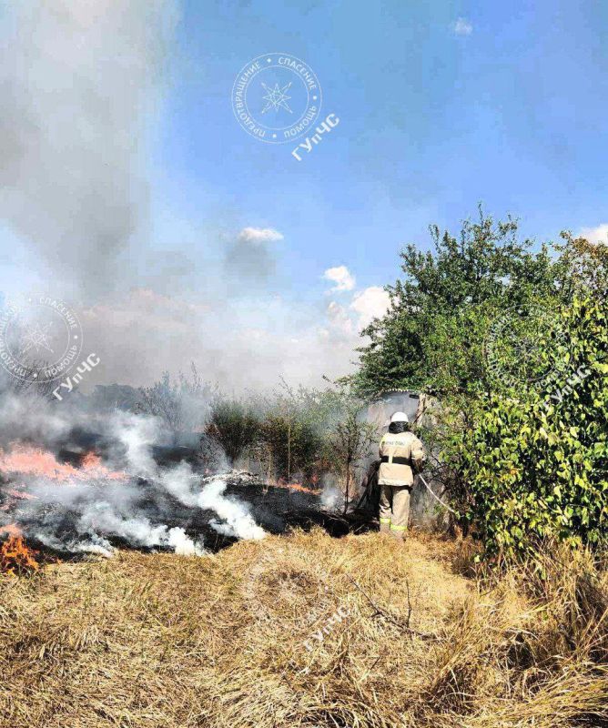 ������ �������� ������� ����� ����� ���� �������� ����� ����� � ������ � �����