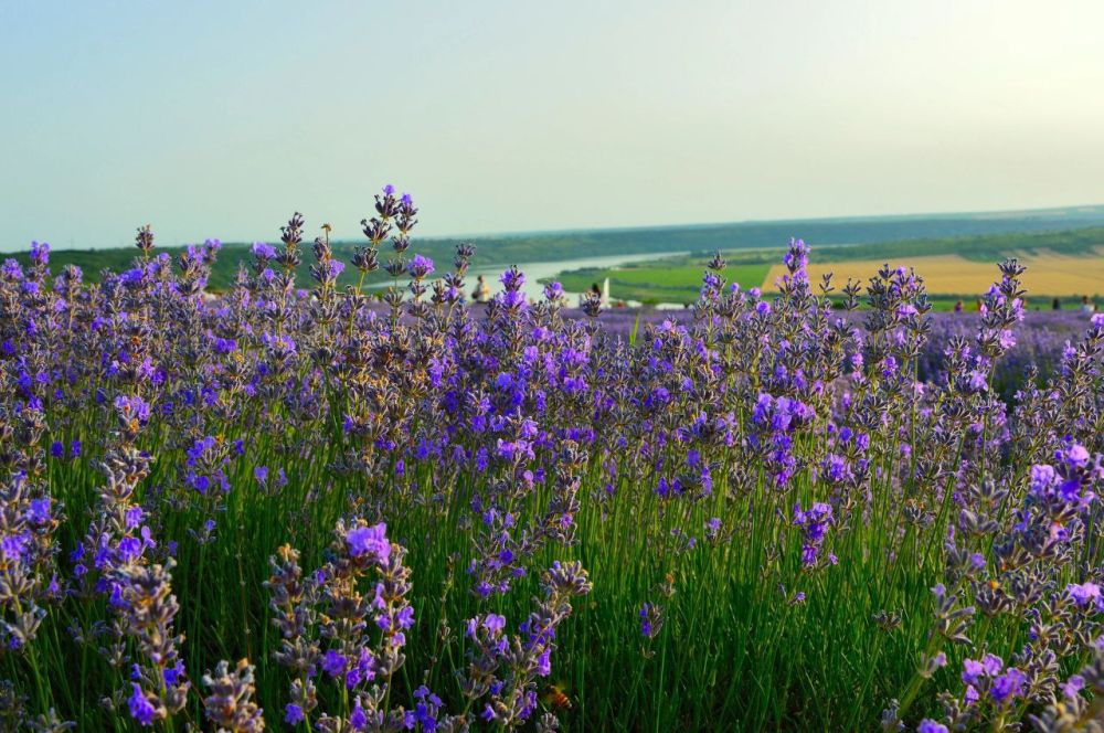 ��� �� ��� ����������� ������, ��� � ������������� �����-������ ����� ���������� �������! ��������� ����, ������, �������� ������� � ���� ���� � �� ��� ������ �� ���������� ������