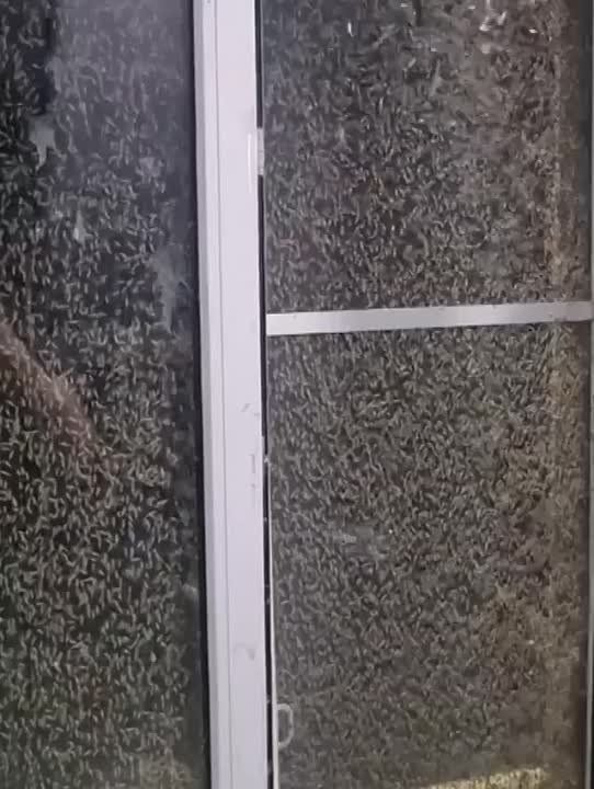 �������� ���������� ��������� ������� �������