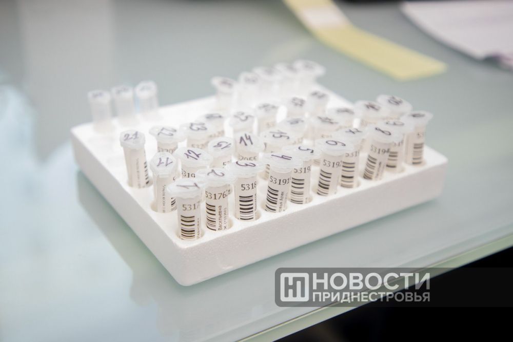 364 �������� ������ COVID-19 �� ������� ������ � �������������