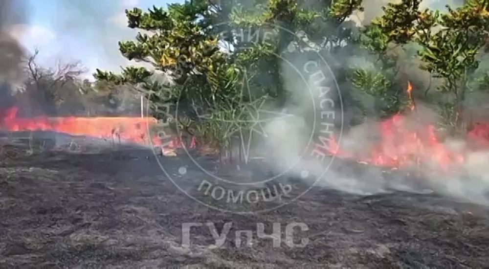 ������� � �����. � ��������, � �. �����, �� ������� ������� ����� ����� ����� � ������. �� ����� ������ ������� ���������� �������� � ���������. ����� ������� �� ����������. �� ������ � ������� ����. ������� ���������� � ����� ���� ��������