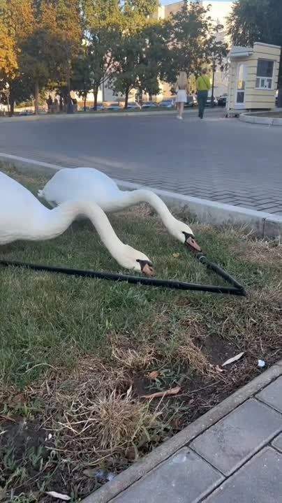 �� ������ ������� � �������������� �����, � �� ����