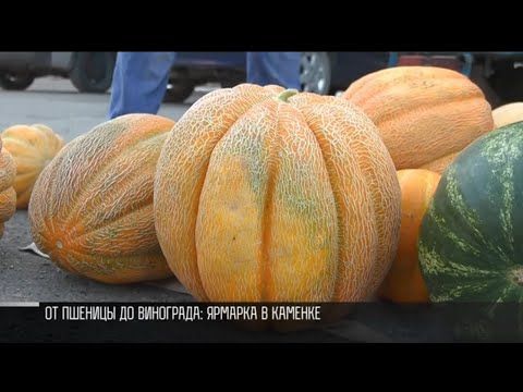 � ���������� ��� ������ � ������� ������� �������������������� �������