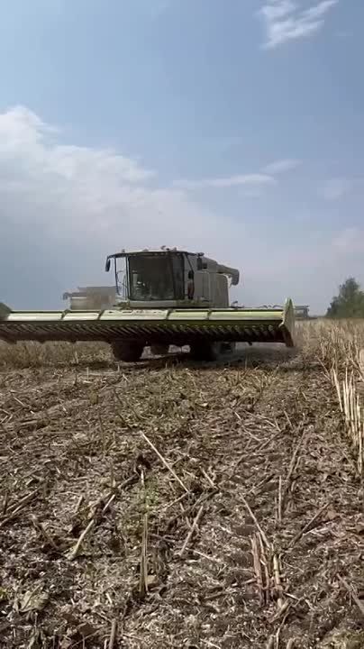 � ������������ ������ ������������ ������������� �������� ������, ��� ���������: � ������ ������� ������ 3,5 ���� - 2 �����