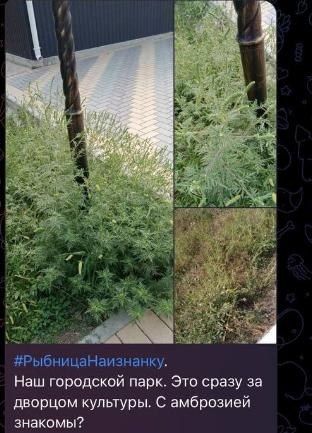 ���������� �������� �������� ��������� � ��������� ��������� ��������