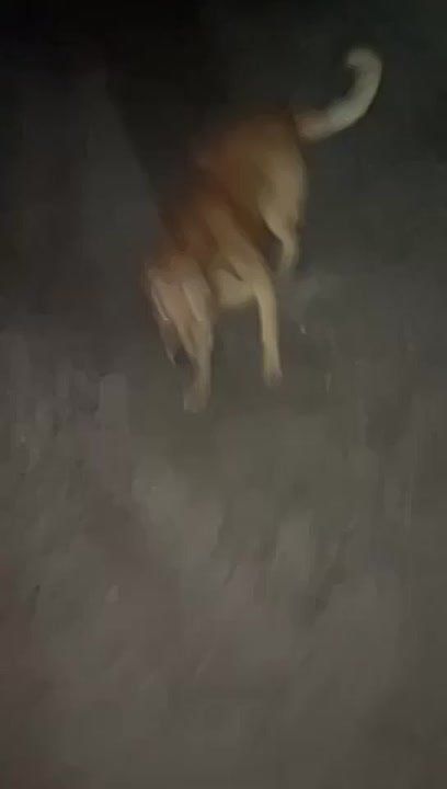 ���� ����� ��������� ������ ��������� ����� ���������������� �������� �� ���������