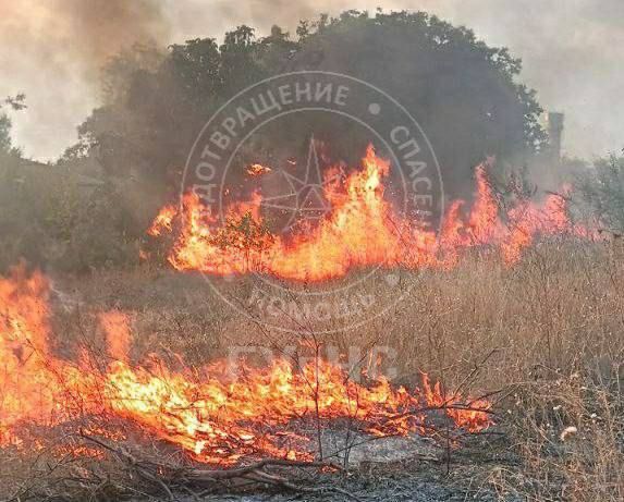 ������� ���� � ��������