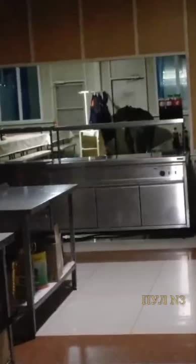 �������, ���������. ������� ������ ������. ���� ������ �������� ������ �����. �� ���� ������ �����!�: ����� �������� - ���������� �������� ��������� ������ �� ������ � ���������� ��� ���������� �������