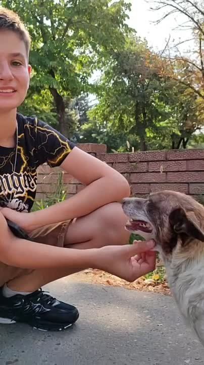 �� ����� � 12-������ ���� �� ������� � ��� ����������