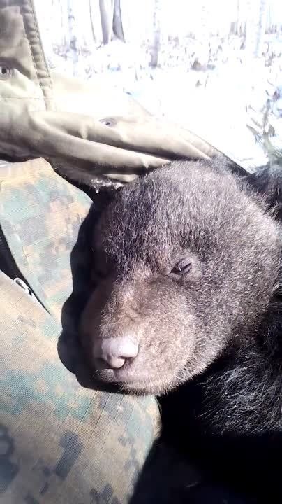 ����������� ����� ������� �� ����� ����� ��������