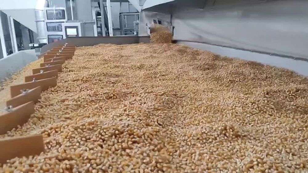 � ���������� ������������ ������� �� ������