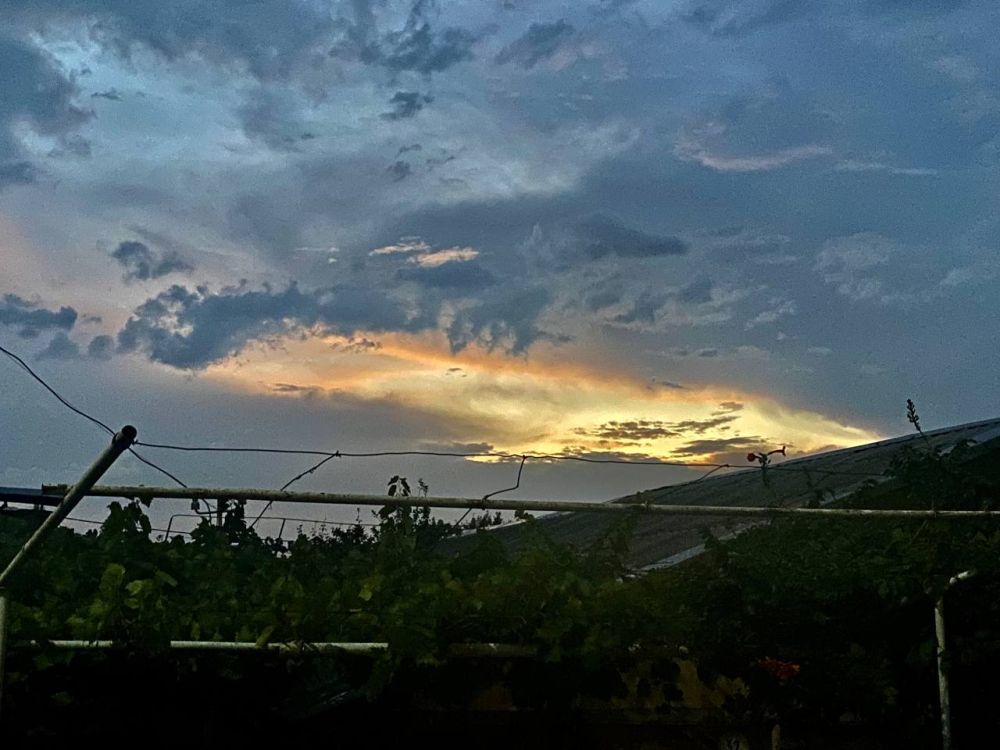 ��� ����� �������� ������� ����� � �������������