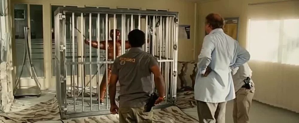 ���������� ����� �������� ���� ������ � ����������� �������