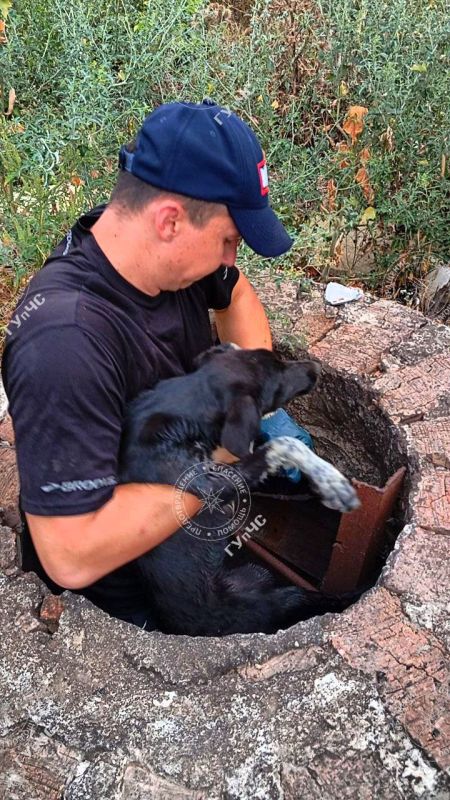 ������� � ������� ������ ������� ������ � ���������