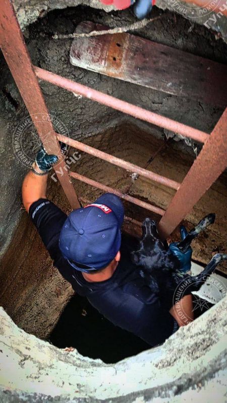 ����������� ��������. �����, ��������� ��������� ���������� � ����������� ������� �� ������� ����� 4 ������, ����� ������ ������