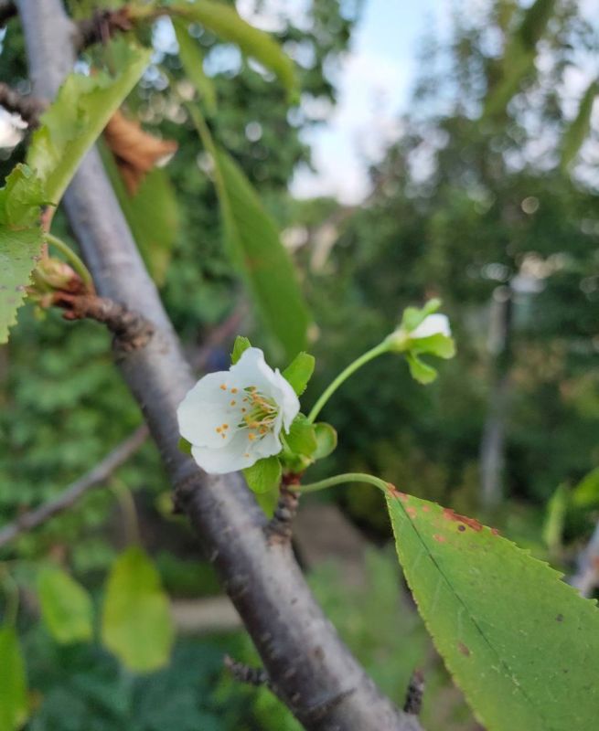 �������� � �������������. �������� ������� ��������� � ���� ��������