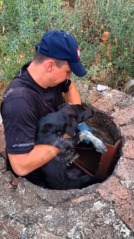 ��� ����� 27 ������� ���������� ��������� ���������