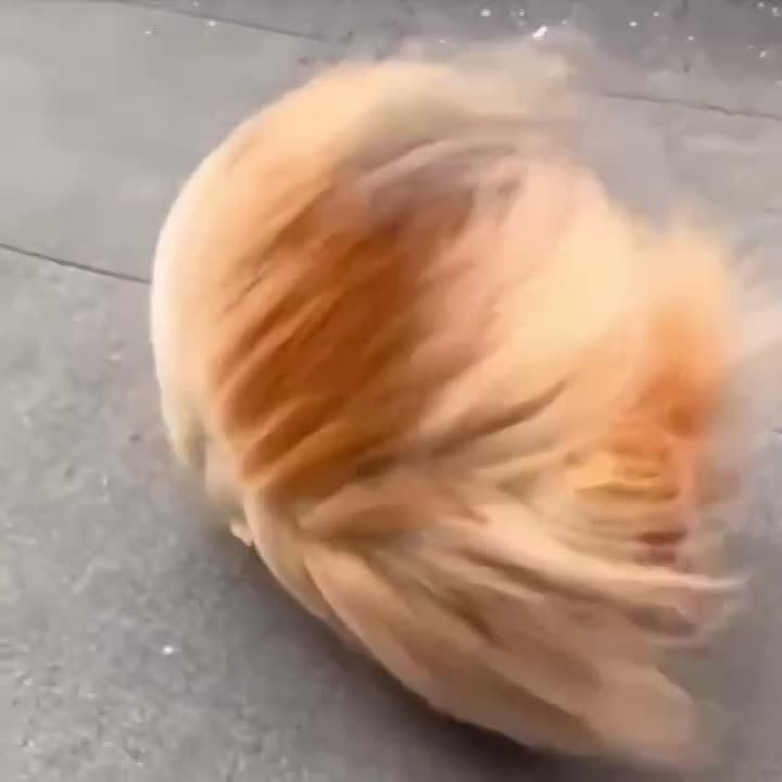 ������� � ����� �� ���������� ��������� ������� ����� � ��������������� ������ � ��������� ����� �� 15 �/� � ������������� ������� ���������