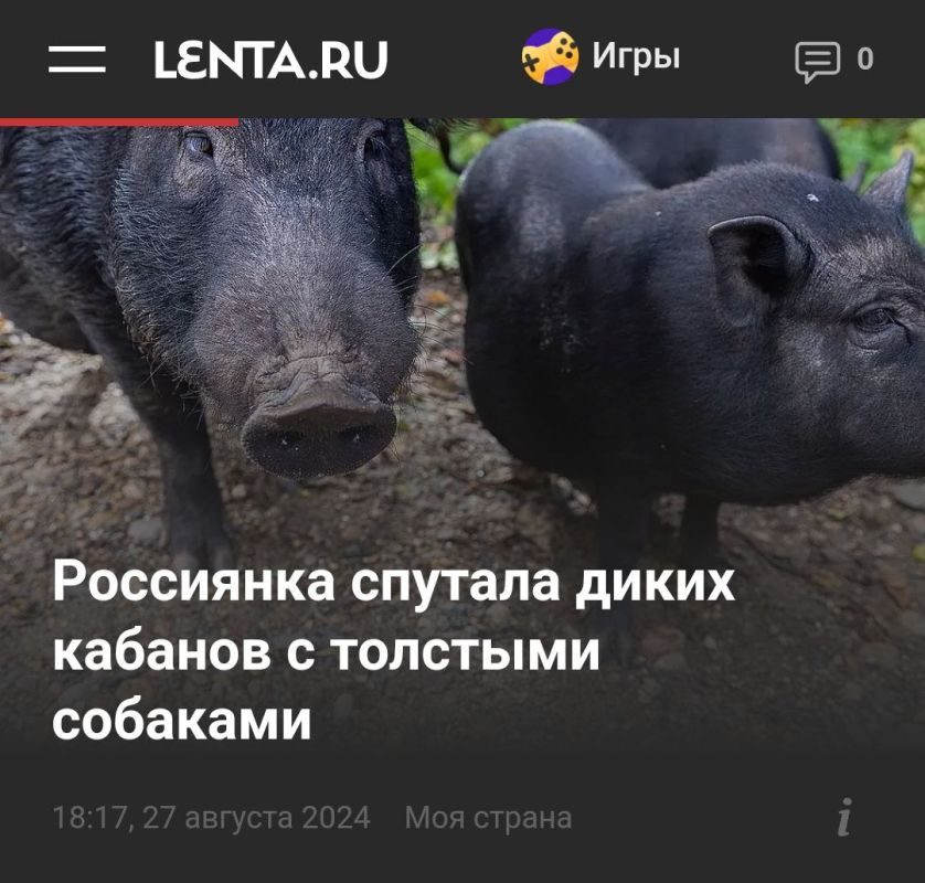 ���������� ��� ������� ����� ������� ����������