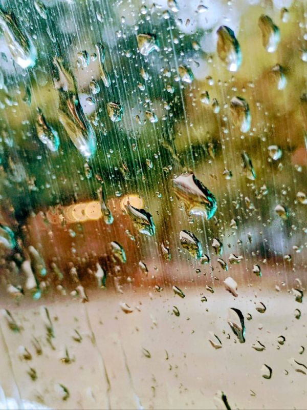 ���������. ����� �� ������ ����