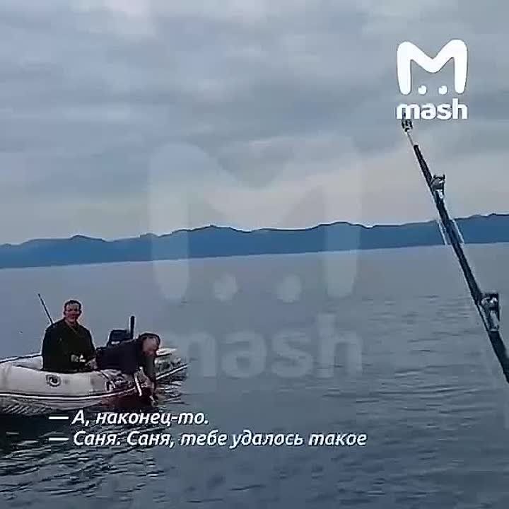 � ����� �������� ��� ������ ��� ���� ������ �� �����������, ��� ��� ����������� ������