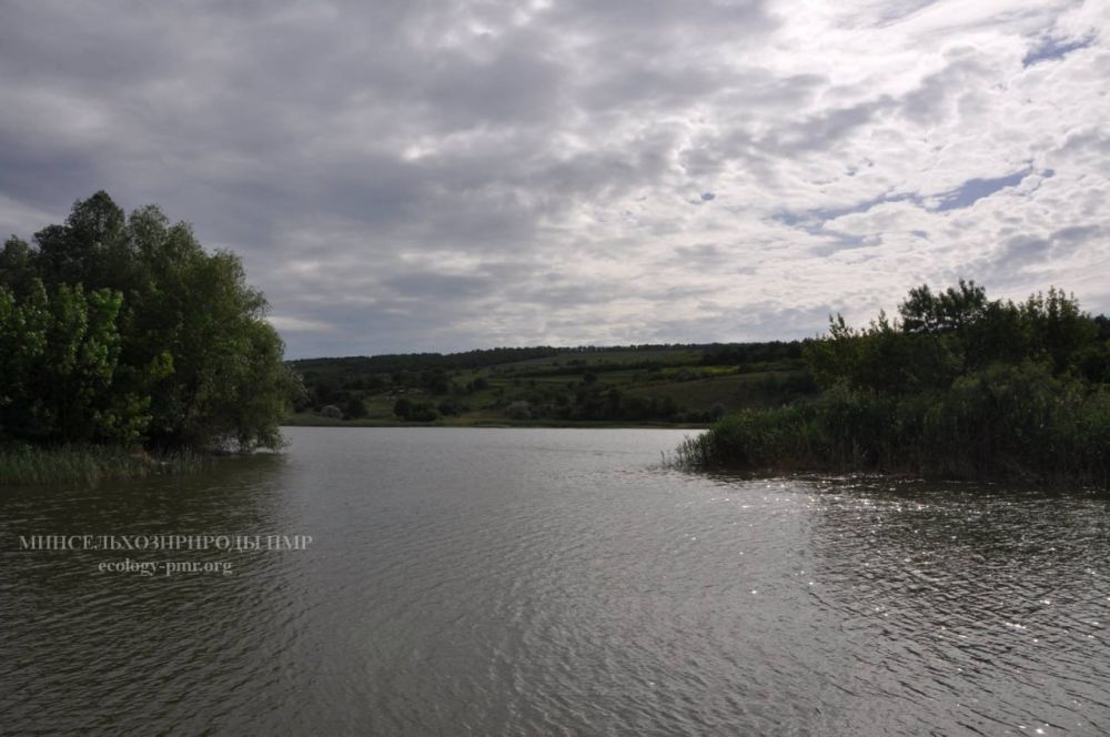 ������ � � �������� ������� ������� �� ������������� ������������� ���������� �� 0,8�1,7 �����