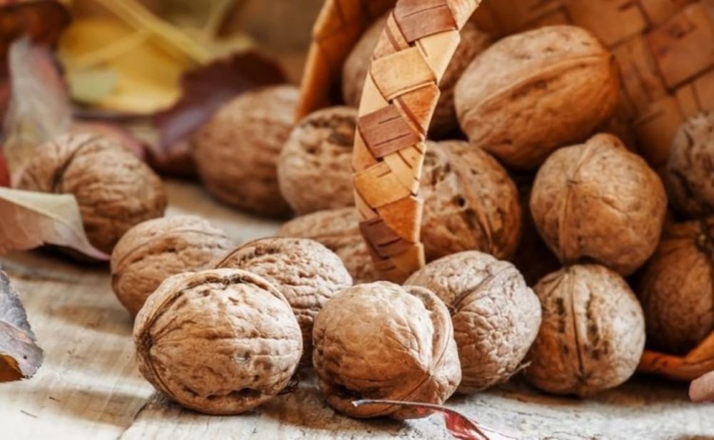 ������� � �������� ����