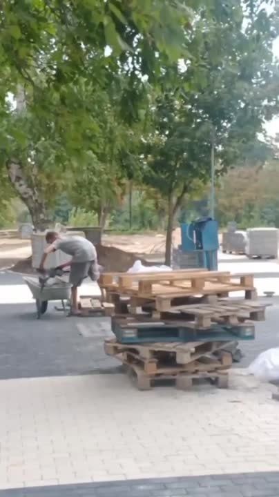 �� ���������� � �������� ������ ������ ������������ �������� ������� �������, ������������� � ���� ��������