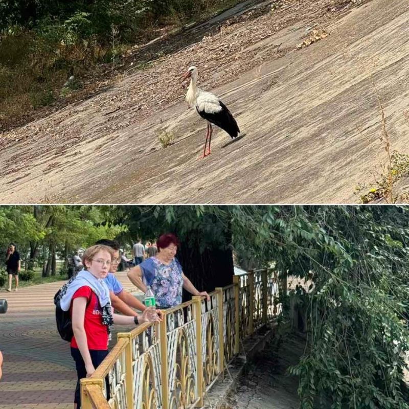 �� ��������� ���������� ��������� ����