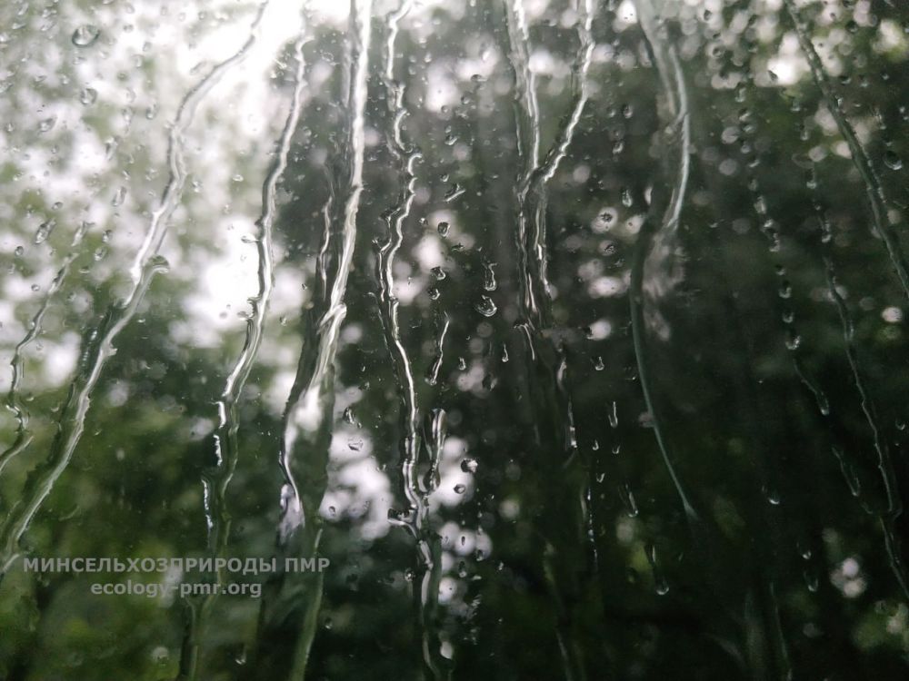 ������������ ��������� ��� ��������������