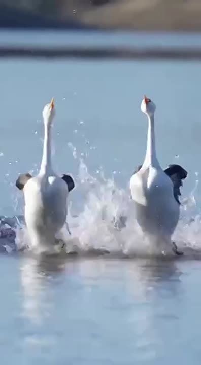 ����� �������� ����� � ������� � ������ � ���� ��������!