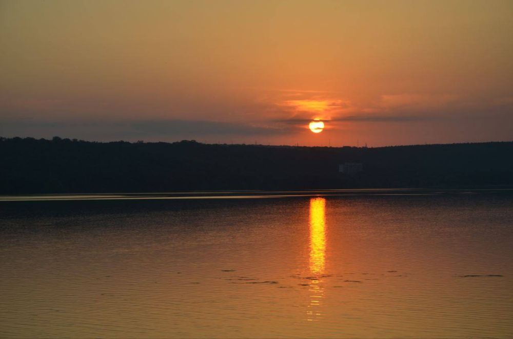 ���� ��������� ������. ���������