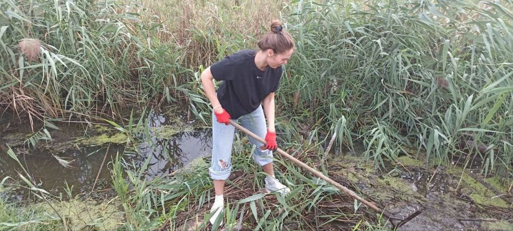 �� ��������, � ����� �������