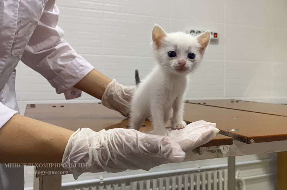 ��������� ������������ ��������� ��������������� ���������� ����������!