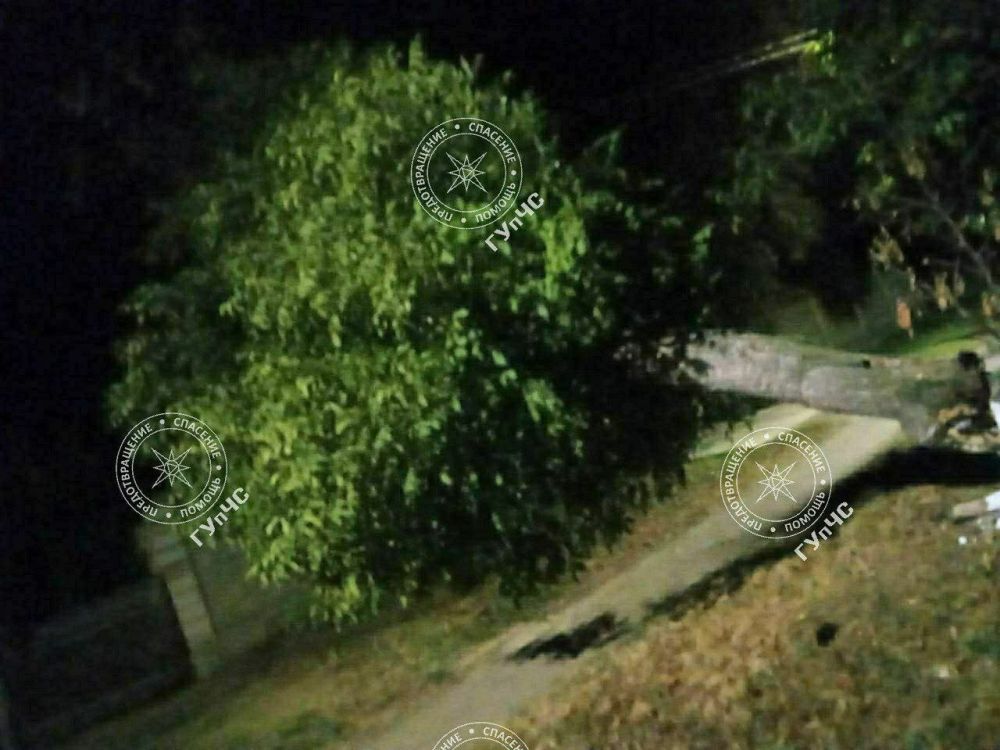 ��������� ������ ����� �� �������