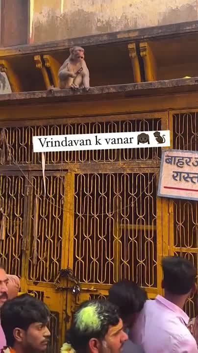 � ����� �������� ������ � ����� ����, � ���������� �� ������ � ����� �� ��������� ���