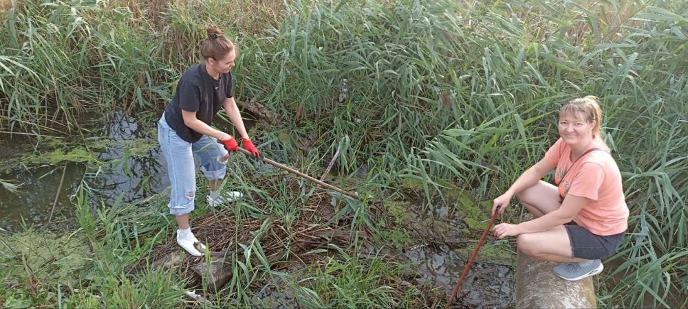 ����� ������� � ��������� - ����� �����, �� �� ������ ������ ������������