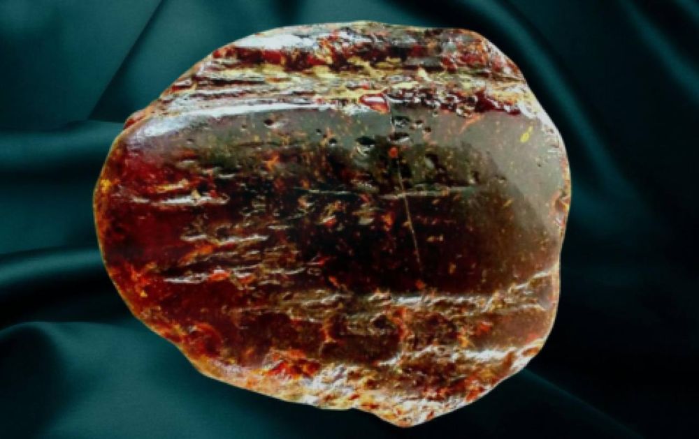 � ������� ������� ������� ����� ��� ������������ ��� ������� ���� ������, ������� �������� ������� ������ ���������� ������� ����